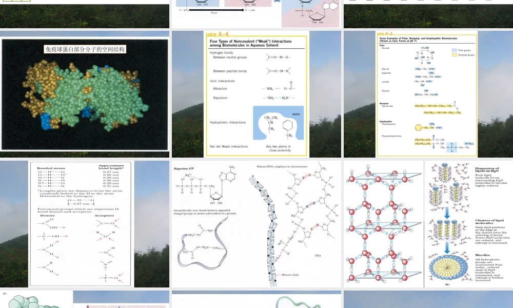 复件 王镜岩 生物化学 经典课件 0绪论 考研必备 学生物化学必备.ppt