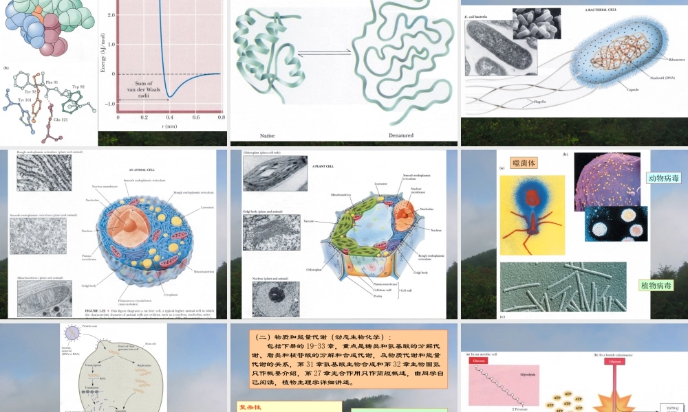 复件 王镜岩 生物化学 经典课件 0绪论 考研必备 学生物化学必备.ppt