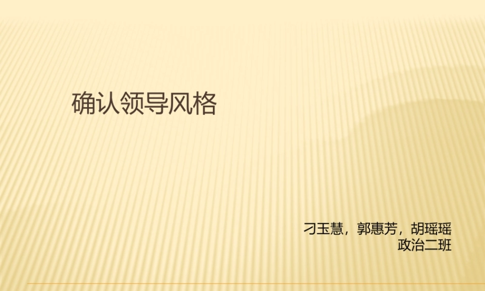 确认领导风格,三人大队.pptx