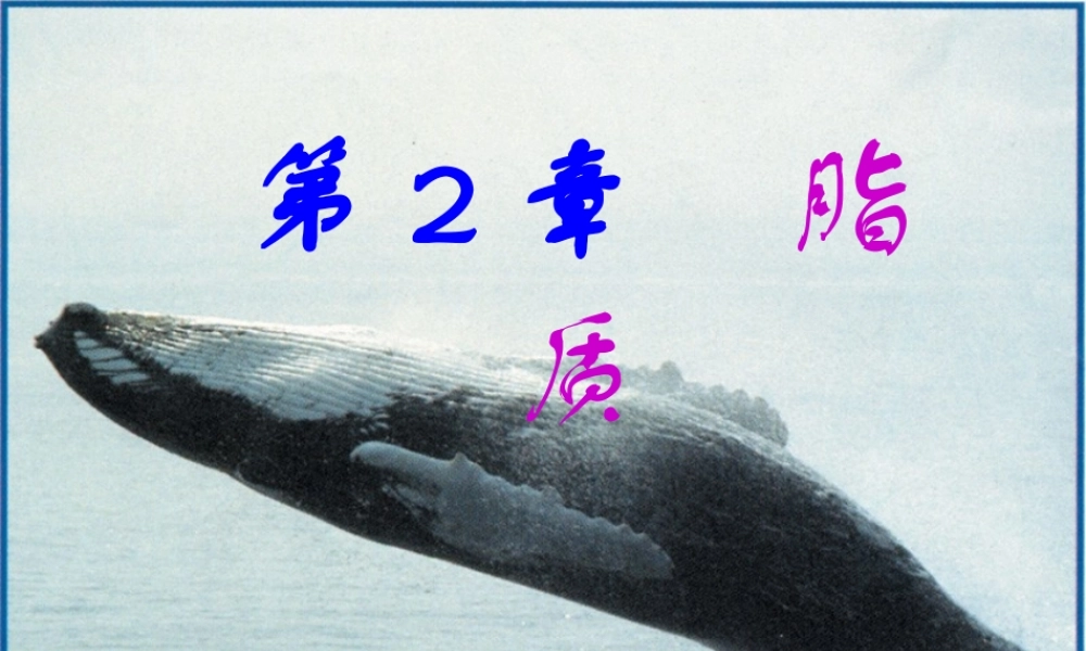 王镜岩 生物化学 经典课件 2脂的生物化学 考研必备 学生物化学必备.ppt