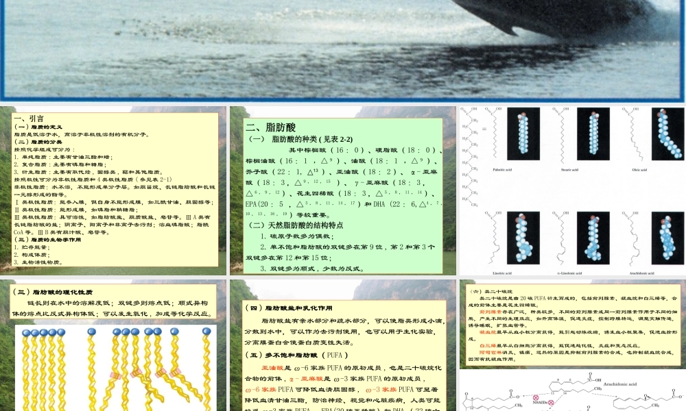 王镜岩 生物化学 经典课件 2脂的生物化学 考研必备 学生物化学必备.ppt