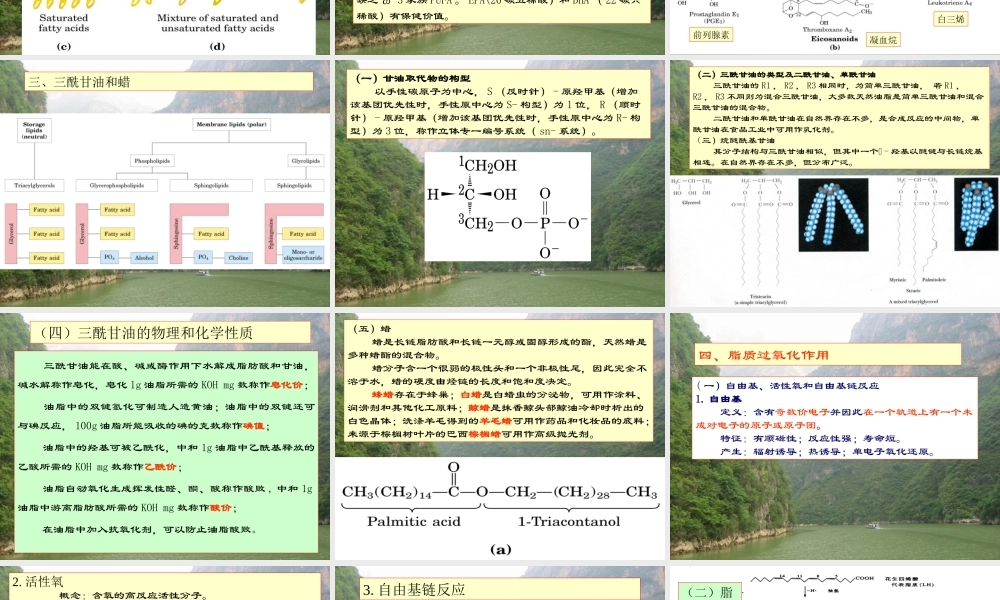 王镜岩 生物化学 经典课件 2脂的生物化学 考研必备 学生物化学必备.ppt
