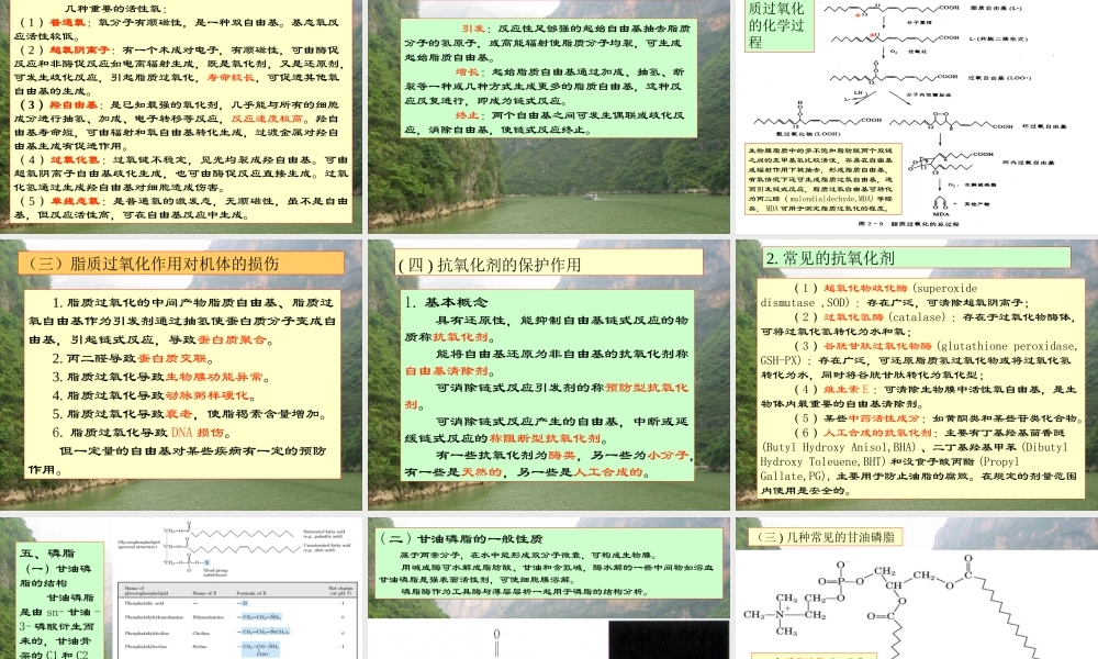 王镜岩 生物化学 经典课件 2脂的生物化学 考研必备 学生物化学必备.ppt
