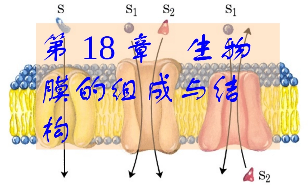 王镜岩 生物化学 经典课件 7生物膜 考研必备 学生物化学必备.ppt