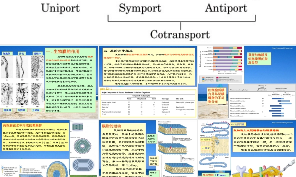 王镜岩 生物化学 经典课件 7生物膜 考研必备 学生物化学必备.ppt