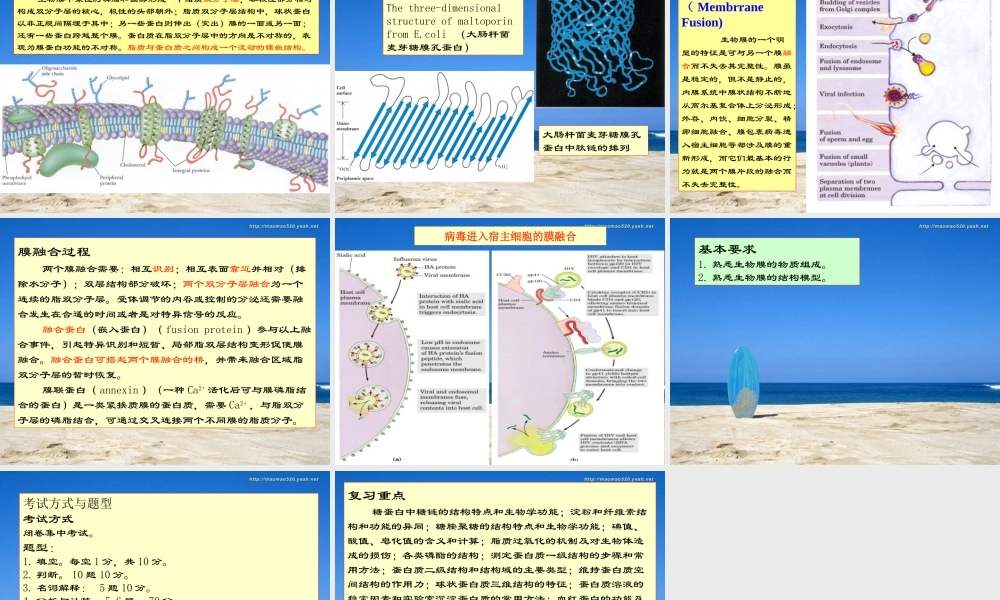 王镜岩 生物化学 经典课件 7生物膜 考研必备 学生物化学必备.ppt