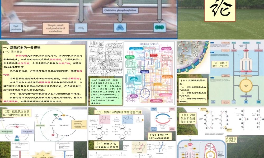 王镜岩 生物化学 经典课件 8代谢总论 考研必备 学生物化学必备.ppt