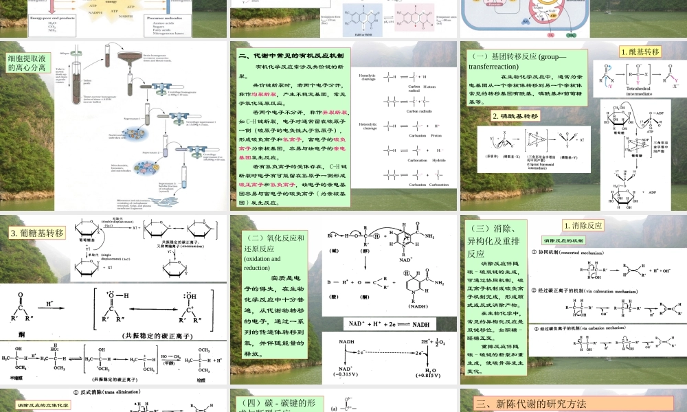 王镜岩 生物化学 经典课件 8代谢总论 考研必备 学生物化学必备.ppt