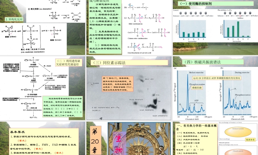 王镜岩 生物化学 经典课件 8代谢总论 考研必备 学生物化学必备.ppt