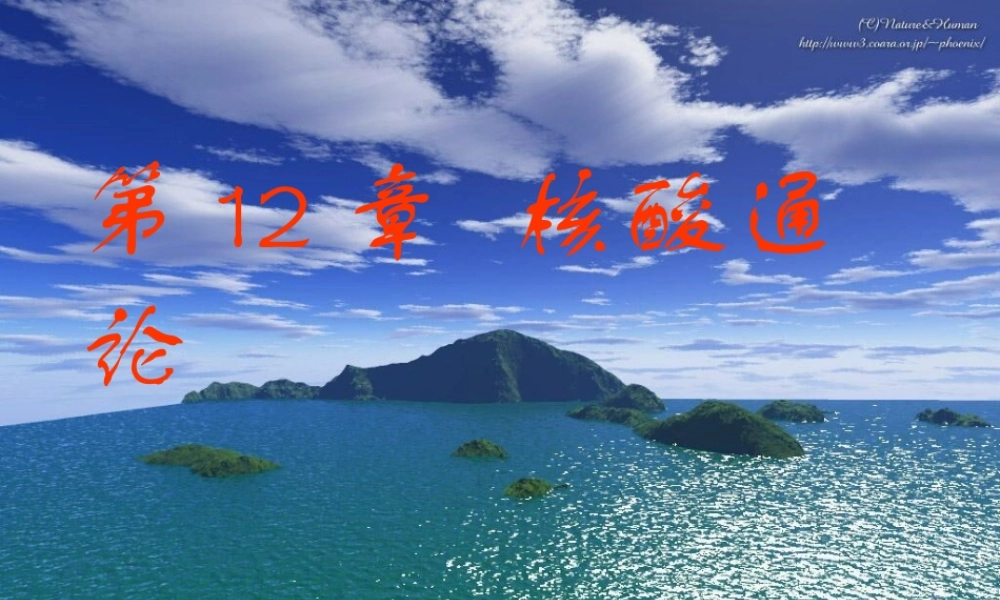 王镜岩 生物化学 经典课件 5核酸化学 考研必备 学生物化学必备.ppt