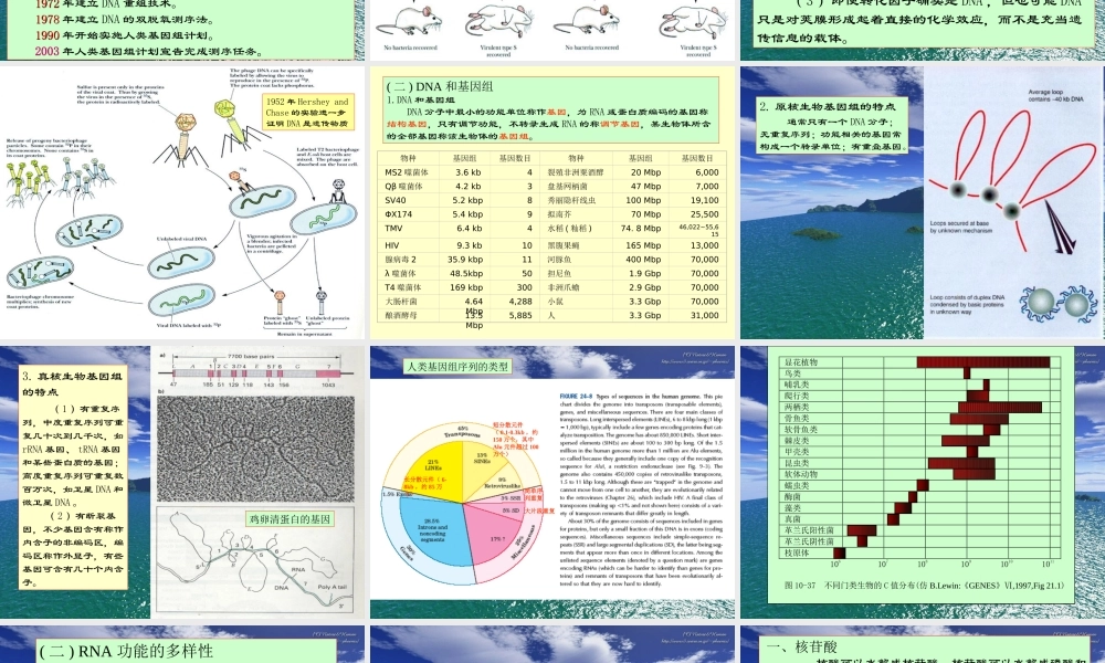 王镜岩 生物化学 经典课件 5核酸化学 考研必备 学生物化学必备.ppt