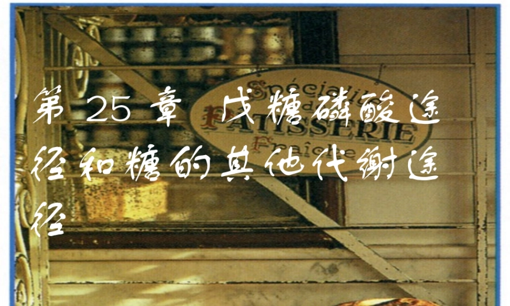 王镜岩 生物化学 经典课件 10糖代谢2 考研必备 学生物化学必备.ppt