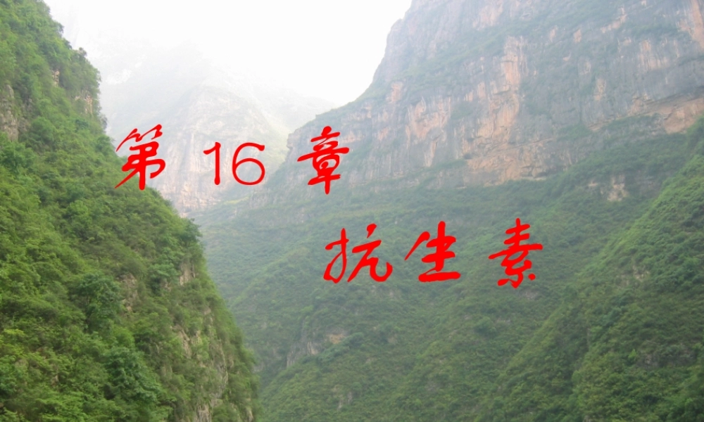 王镜岩 生物化学 经典课件 6抗生素和激素 考研必备 学生物化学必备.ppt