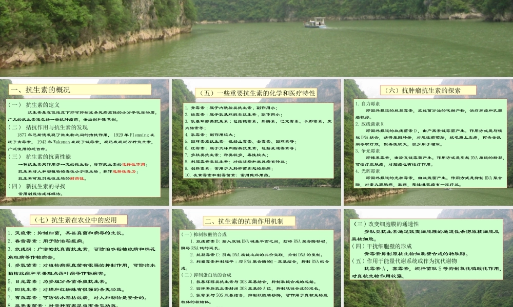 王镜岩 生物化学 经典课件 6抗生素和激素 考研必备 学生物化学必备.ppt