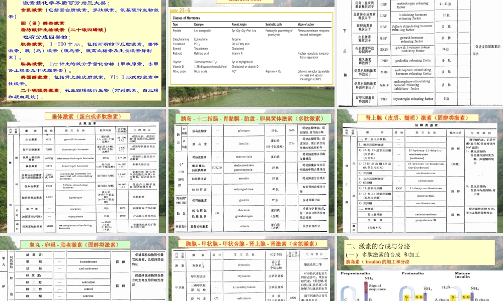 王镜岩 生物化学 经典课件 6抗生素和激素 考研必备 学生物化学必备.ppt