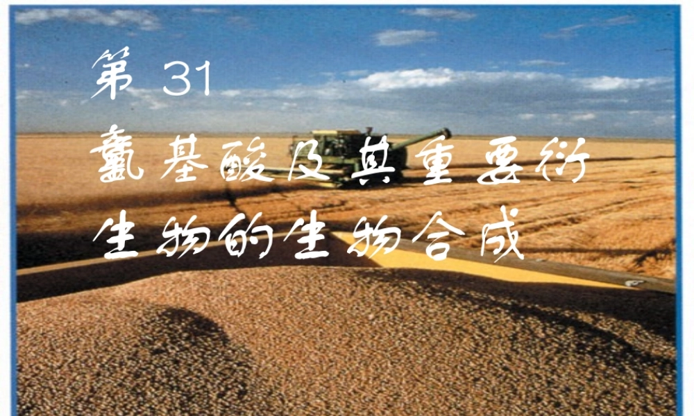 王镜岩 生物化学 经典课件 13氨基酸合成 考研必备 学生物化学必备.ppt