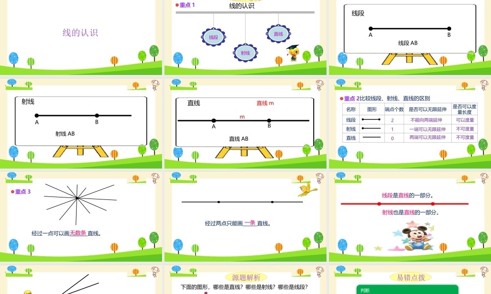 小升初数学知识点精讲 线的认识.ppt