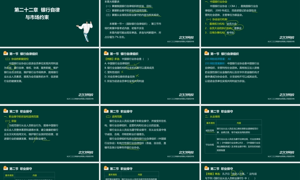 19-1法律法规与综合能力-第22章 银行自律与市场约束.ppt