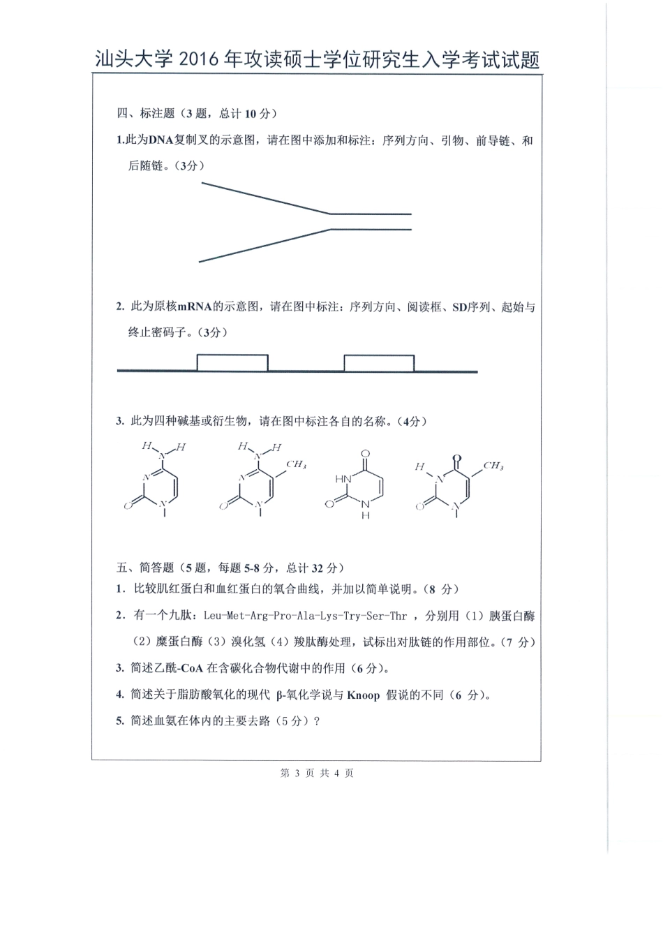 615 生物化学（理学）.pdf_第3页