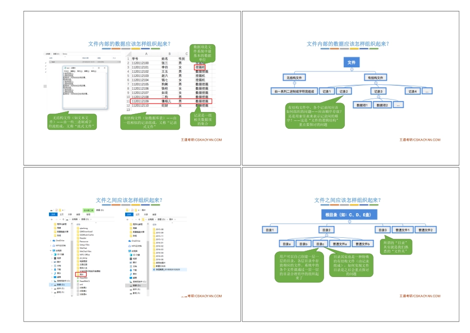 4.1_1_初识文件管理.pdf_第2页