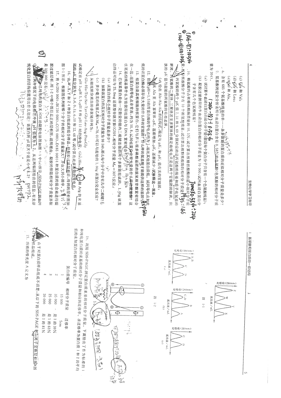 生物化学学习指导.pdf_第3页