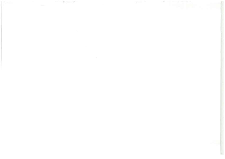 言语理解及判断推理.pdf_第2页