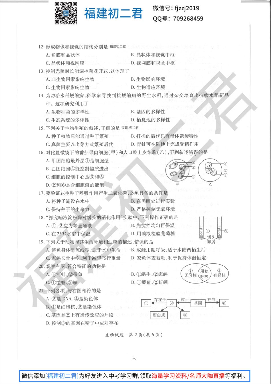 【生物试卷+答案】2019年厦门市生物质量检测试卷-福建初二君.pdf_第3页