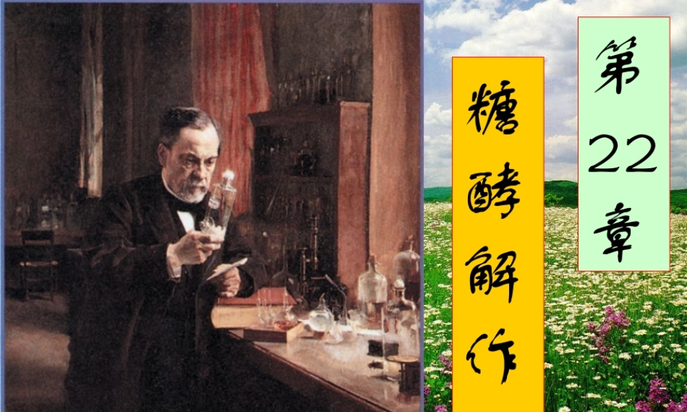 王镜岩 生物化学 经典课件 9糖代谢1 考研必备 学生物化学必备.ppt