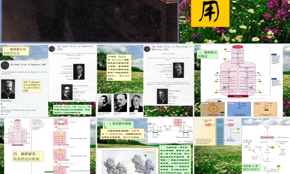 王镜岩 生物化学 经典课件 9糖代谢1 考研必备 学生物化学必备.ppt