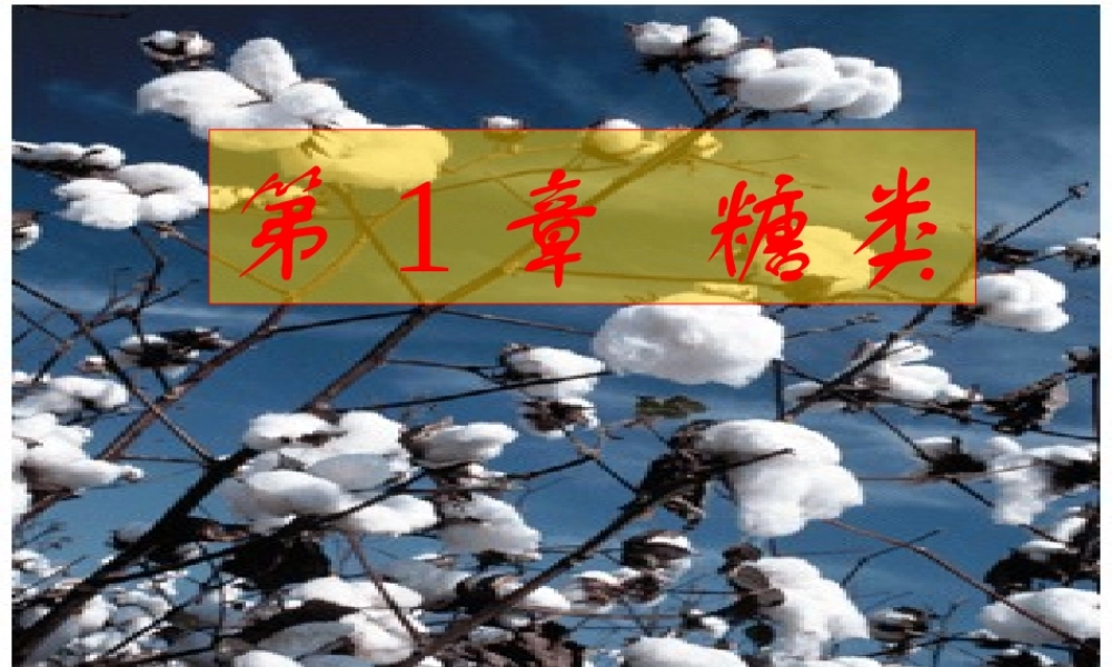 王镜岩 生物化学 经典课件 1糖的生物化学1 考研必备 学生物化学必备.ppt