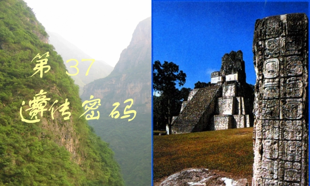 王镜岩 生物化学 经典课件 17蛋白质合成和基因工程 考研必备 学生物化学必备.ppt