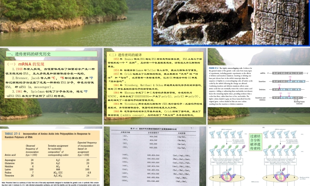 王镜岩 生物化学 经典课件 17蛋白质合成和基因工程 考研必备 学生物化学必备.ppt