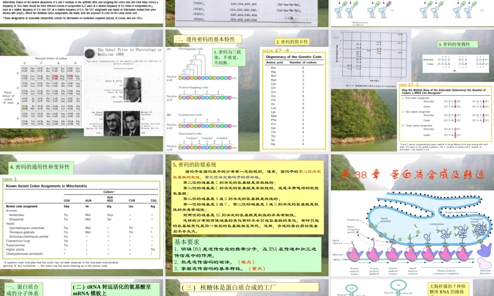 王镜岩 生物化学 经典课件 17蛋白质合成和基因工程 考研必备 学生物化学必备.ppt
