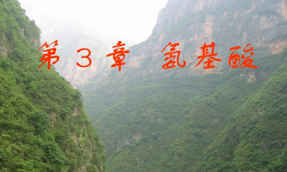 王镜岩 生物化学 经典课件 3氨基酸和蛋白质 考研必备 学生物化学必备.ppt