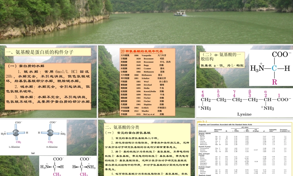 王镜岩 生物化学 经典课件 3氨基酸和蛋白质 考研必备 学生物化学必备.ppt