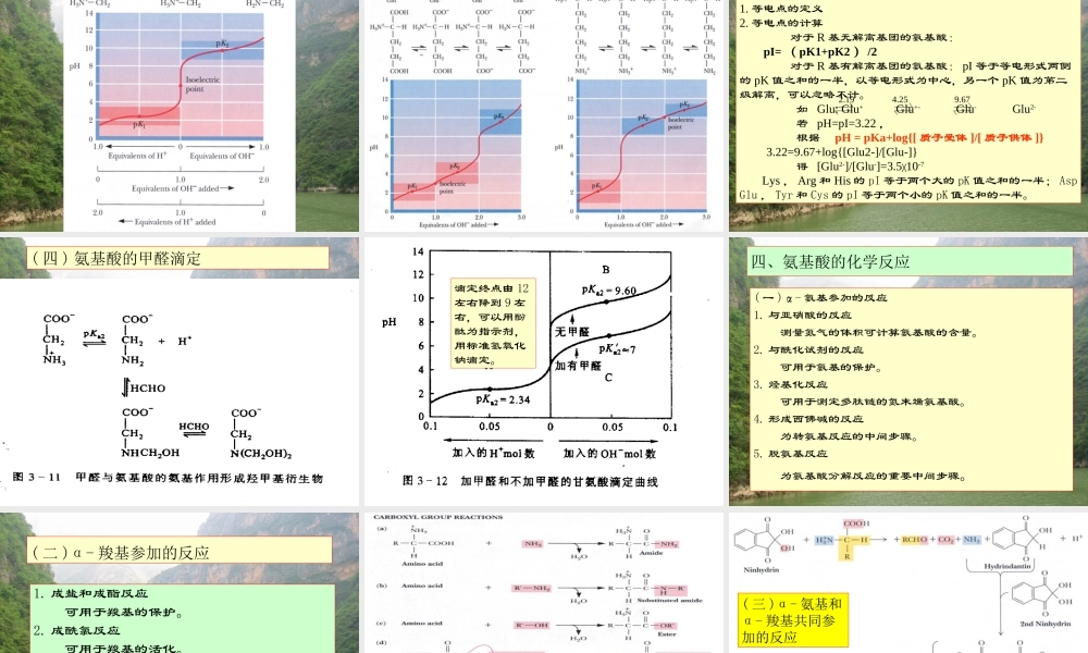 王镜岩 生物化学 经典课件 3氨基酸和蛋白质 考研必备 学生物化学必备.ppt