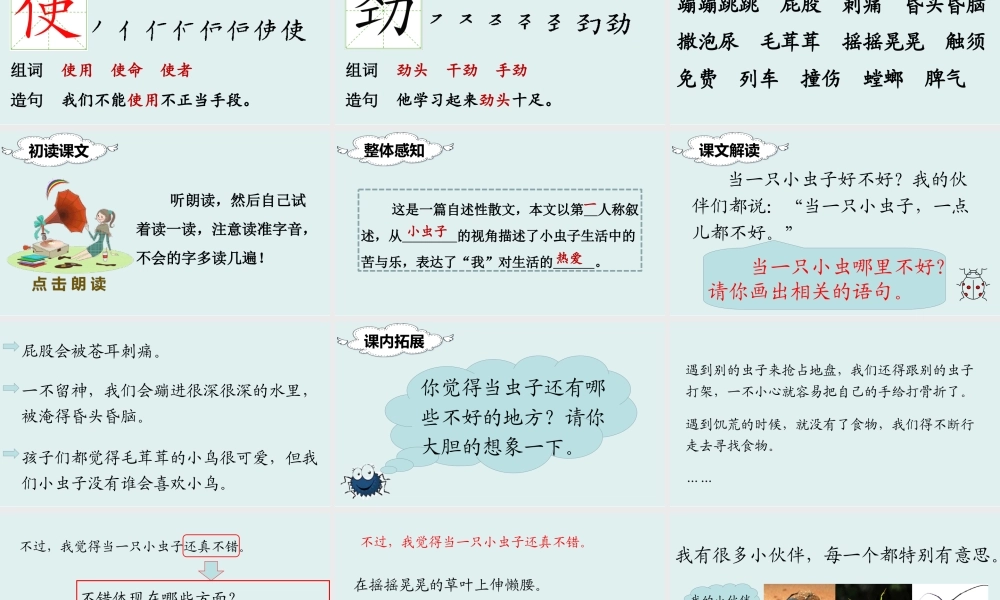 （课堂教学课件）11 我是一只小虫子.ppt