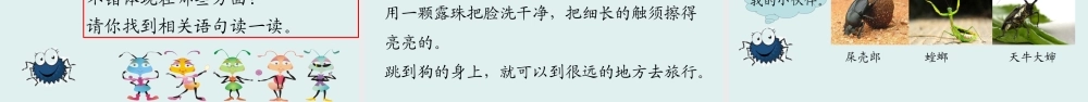 （课堂教学课件）11 我是一只小虫子.ppt
