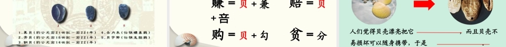 （课堂教学课件）识字3 “贝”的故事.ppt