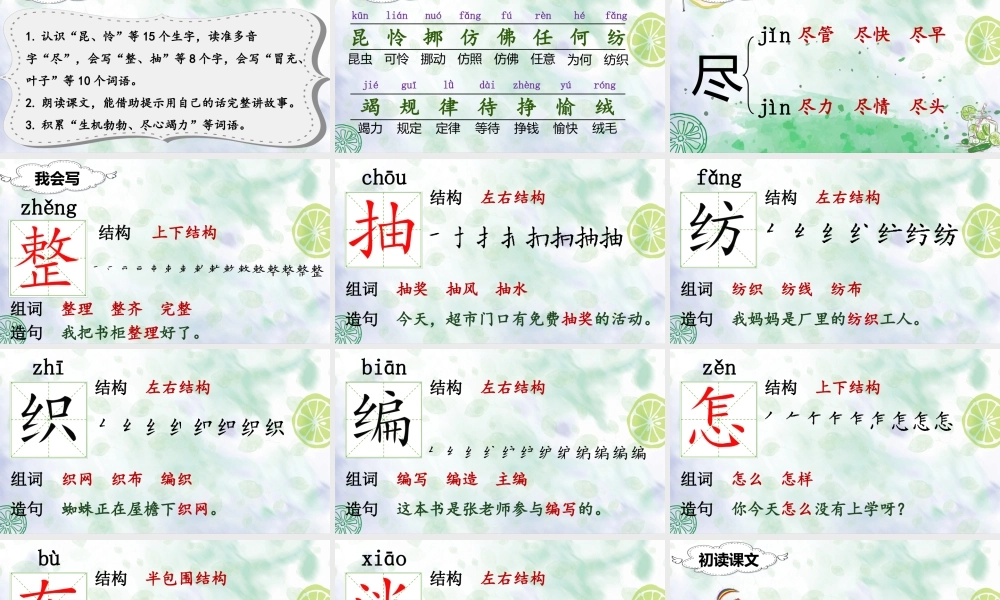 （课堂教学课件）22 小毛虫.ppt