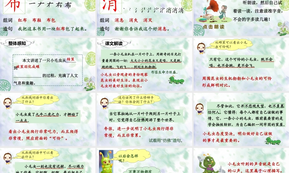 （课堂教学课件）22 小毛虫.ppt