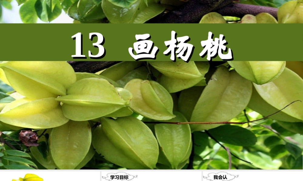 （课堂教学课件）13 画杨桃.ppt