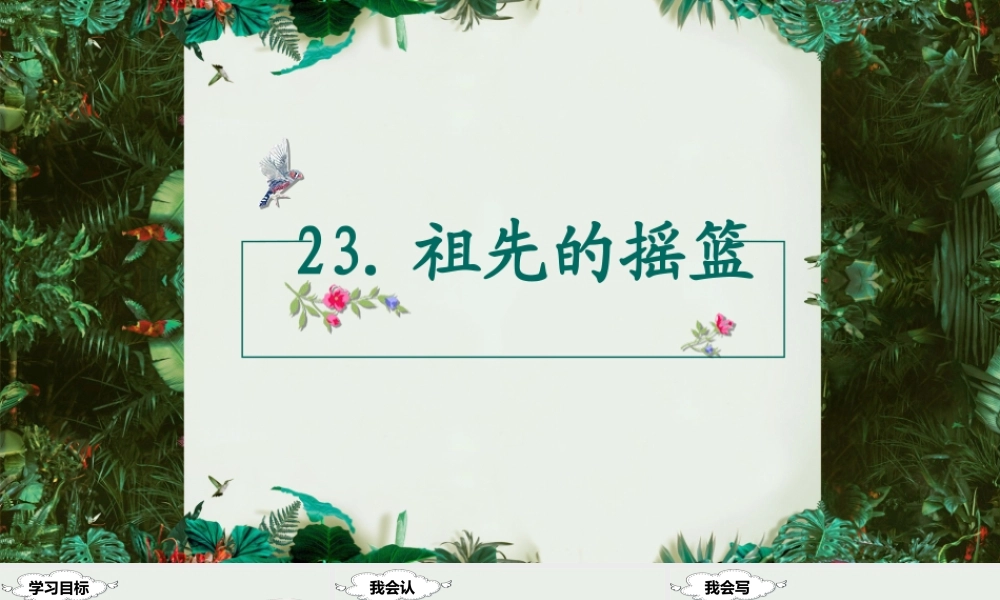 （课堂教学课件）23 祖先的摇篮.ppt