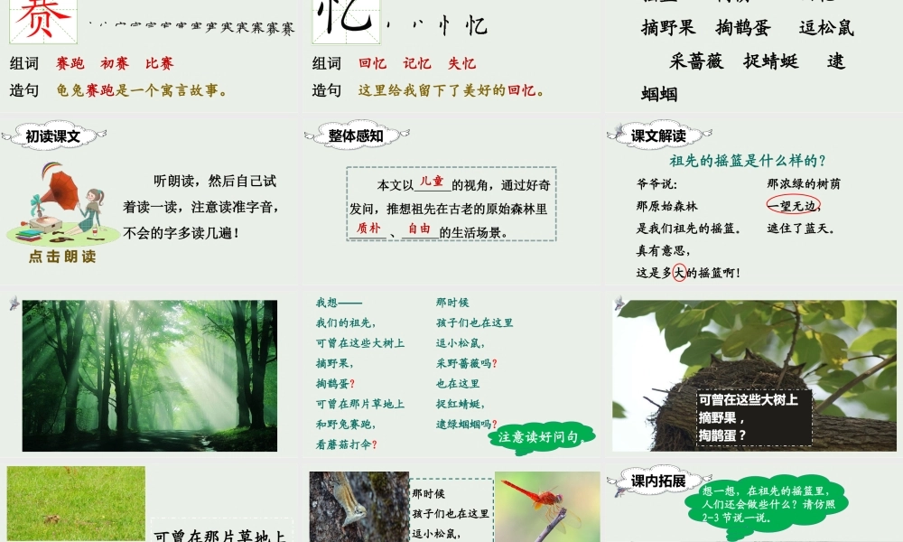 （课堂教学课件）23 祖先的摇篮.ppt