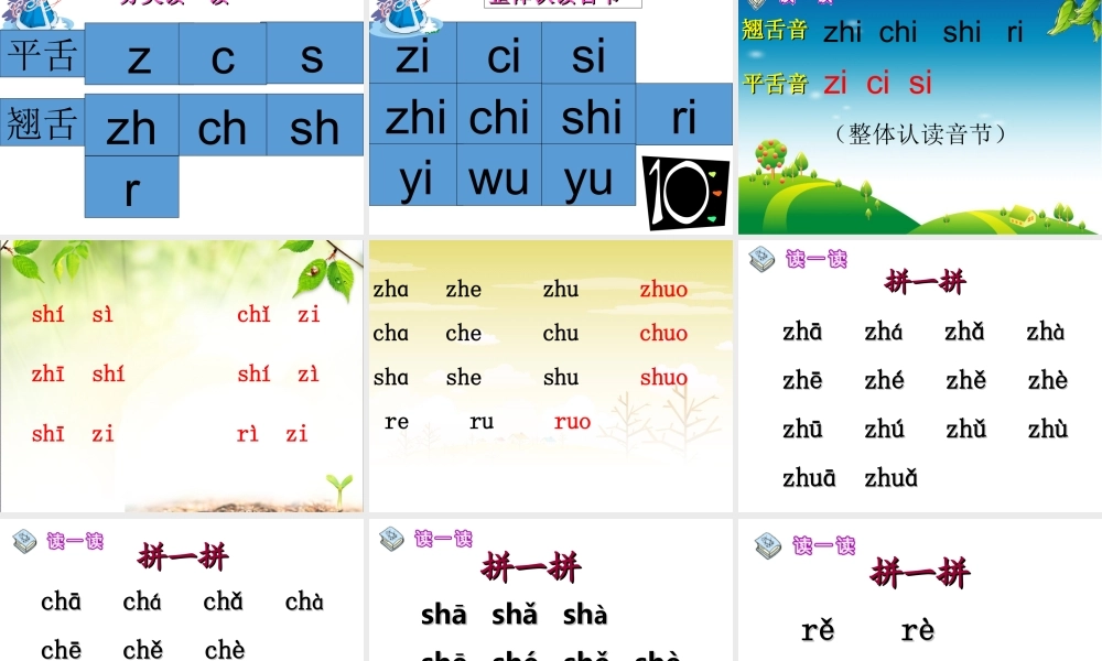 （课堂教学课件2）zh ch sh r.ppt