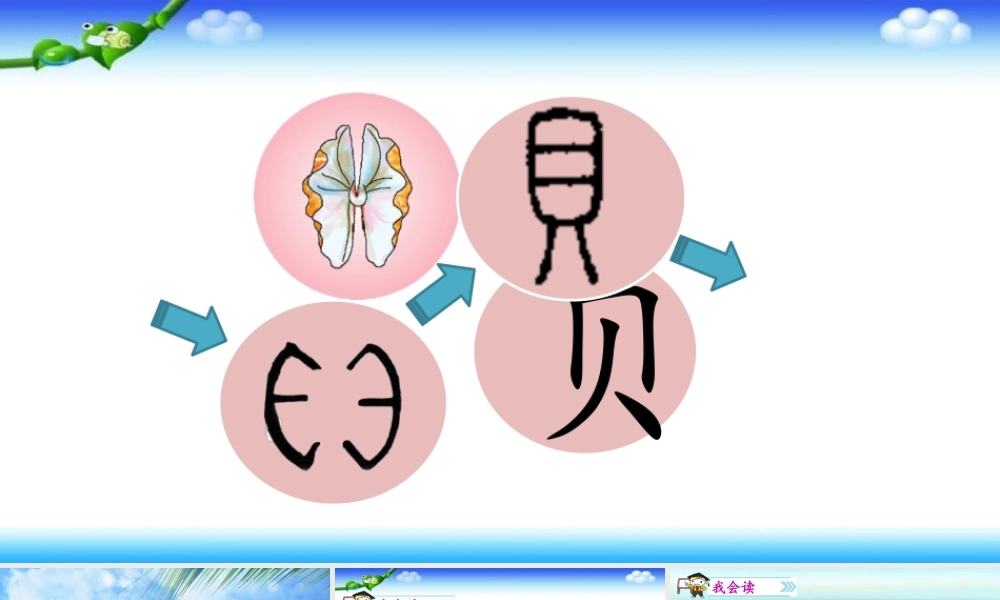 《3 “贝”的故事 》 第2套（国家一等奖）优质课.pptx