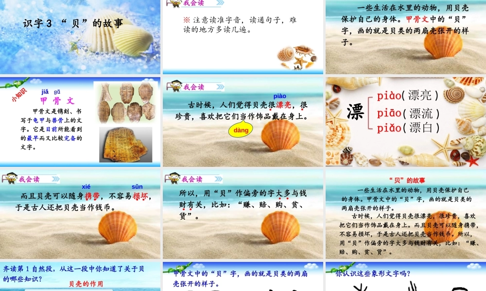 《3 “贝”的故事 》 第2套（国家一等奖）优质课.pptx