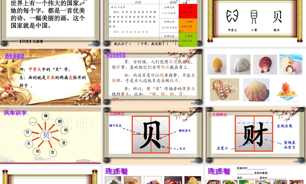 《3 “贝”的故事 》 第7套（省一等奖）优质课.ppt