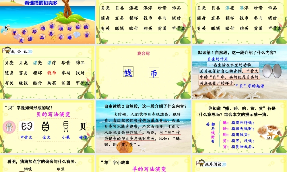 《3 “贝”的故事2》优质课.pptx