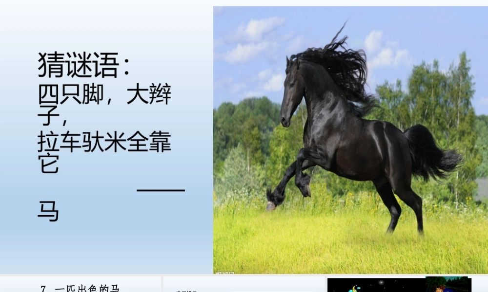 《7 一匹出色的马 》 第2套（国家一等奖）优质课.pptx